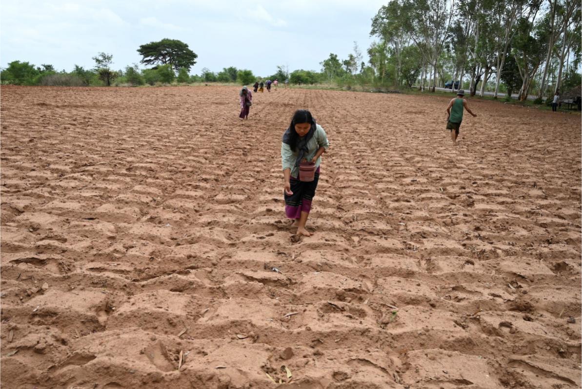 Myanmar farmers © Frontier Myanmar